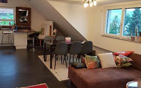 3,5 Zimmer hochwertig eingerichtete Dachgeschosswohnung